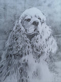 Adult - Drawing (ACA.F25.D) Wednesday 7-9pm with Don