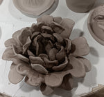 Adult - Clay Hand-building (ACA.F25.CHB) Monday 7-9pm with Saskia