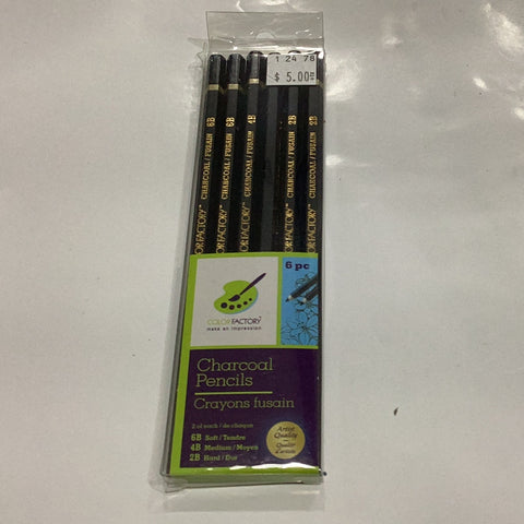 Color Factory Charcoal Pencils