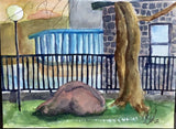 Adult - Watercolour Painting (ACA.F25.WCP) Wednesday 1-3pm with Jeff
