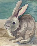 Adult - Watercolour Painting (ACA.F25.WCP) Wednesday 1-3pm with Jeff