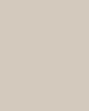 The Paint Factory - Antique Lace-3