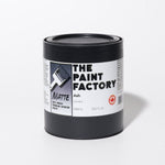 The Paint Factory - Ash-2