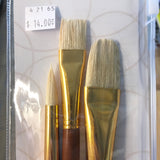 Bristle brushes set of 3